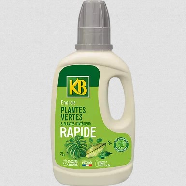 Engrais Plantes Vertes - KB